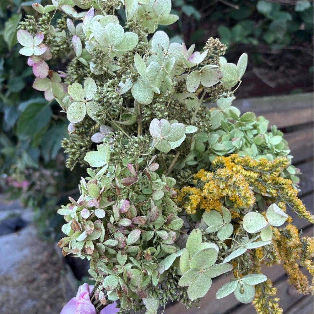 Preserved Goldenrod and Hydrangea Bouquet Real Dried Wildflower Farmhouse Decor